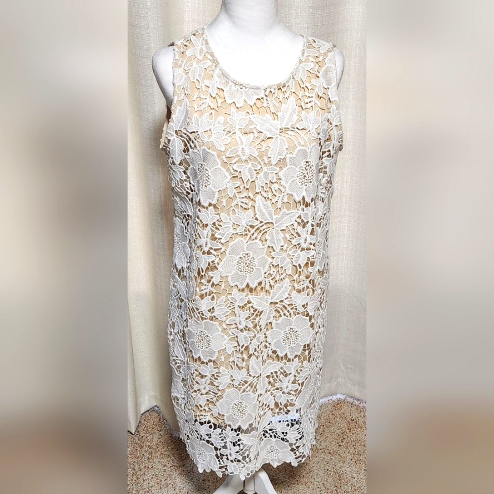 CB est 1962 White All Over Lace Nude Underlay Dress